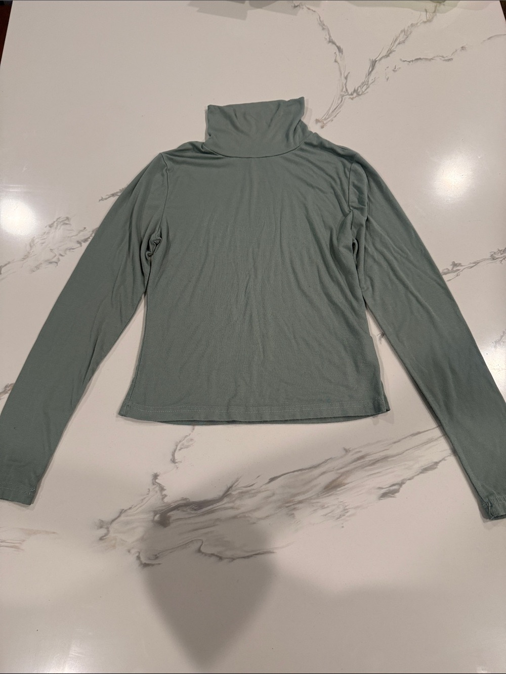 SHEIN Sage Green Long-Sleeve Turtleneck Top